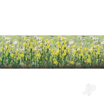 Daisies