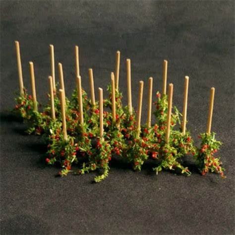 Tomato Plants (Pack of 18)