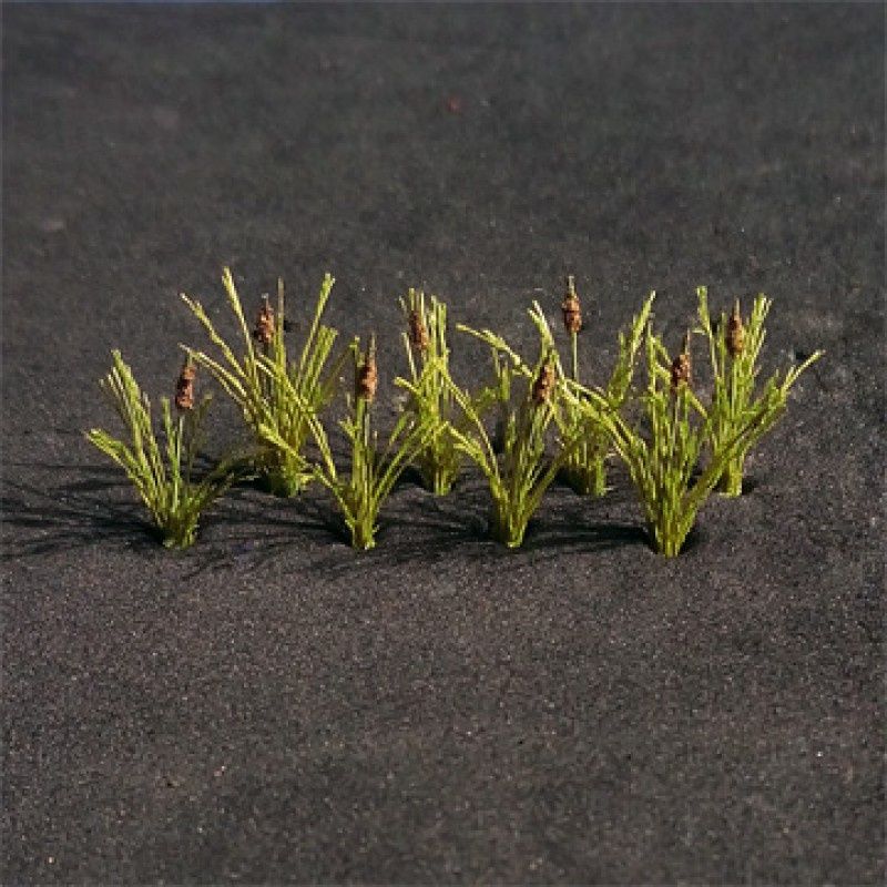 Bulrushes (Pack of 20)