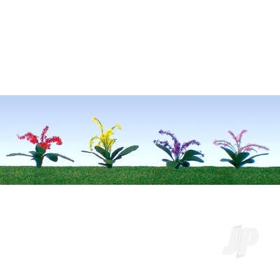 Petunias