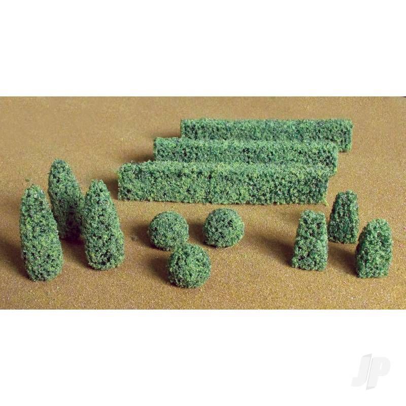 Boxwood Plants