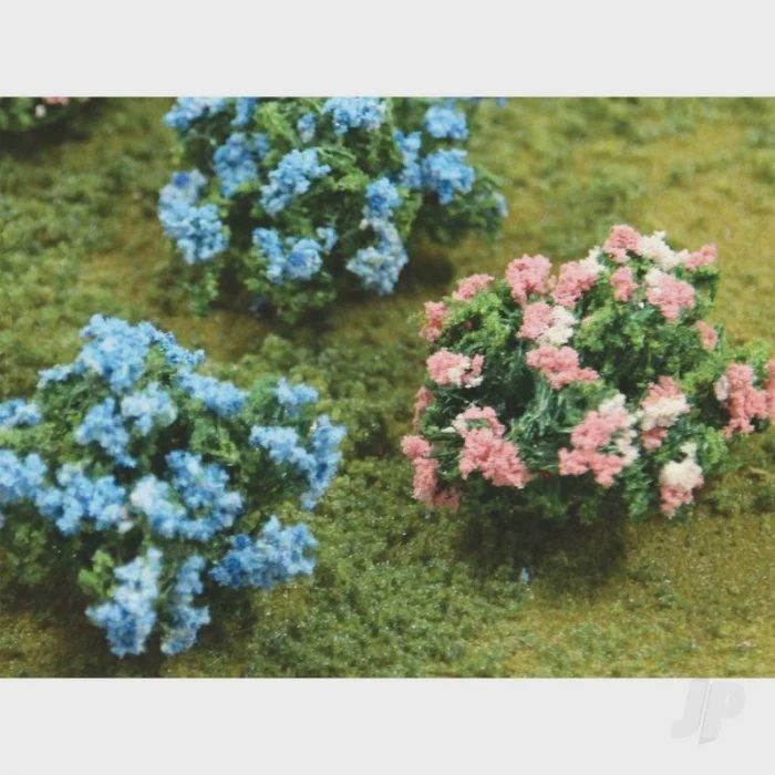 Hydrangeas