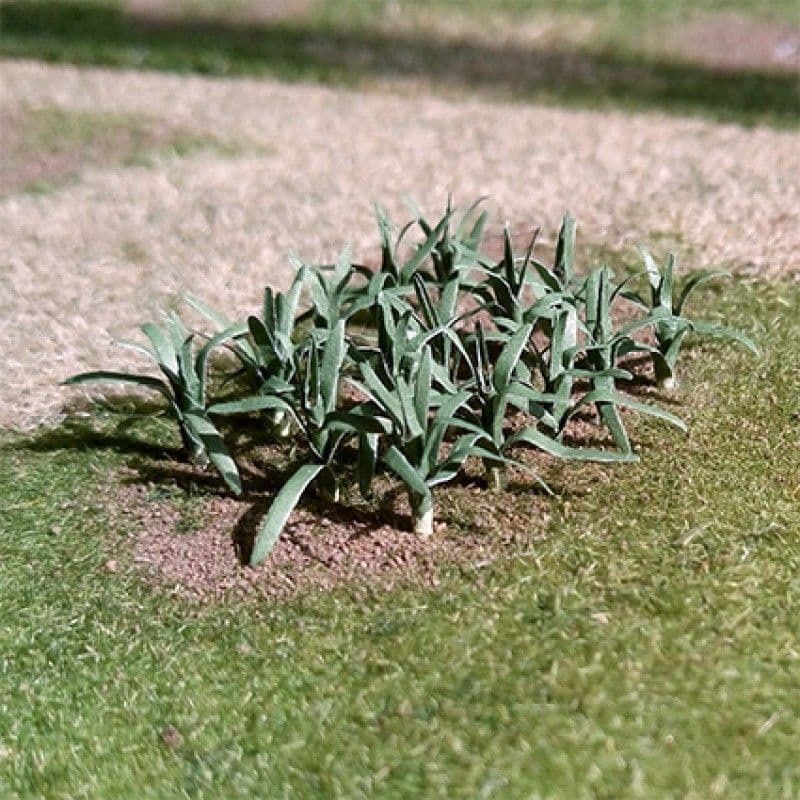 Leeks (Pack of 14)