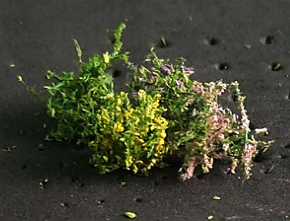 Flower Bushes (Pack of 16)