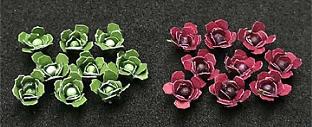 Cabbages (Pack of 18)