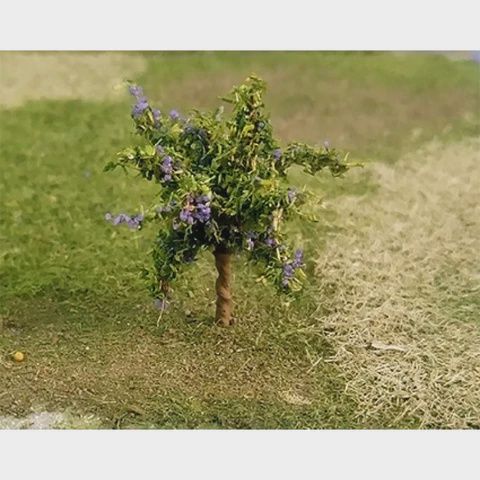 Plum Trees (Pack of 4)