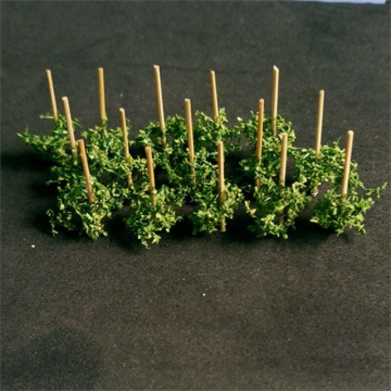 Pole Beans (Pack of 14)