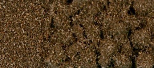 Brown Scatter