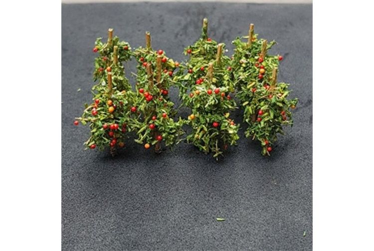 Apple Saplings (Pack of 12)
