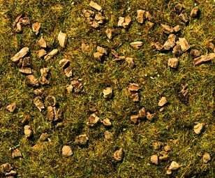 Static Grass Light Green with Pebbles