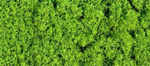 Foliage Light Green