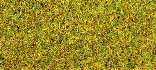 Summer Grass Flock