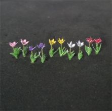 Tulips (Pack of 15)