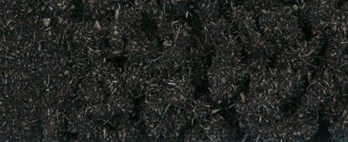 Black Scatter