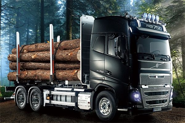 Volvo FH16 Timber Truck