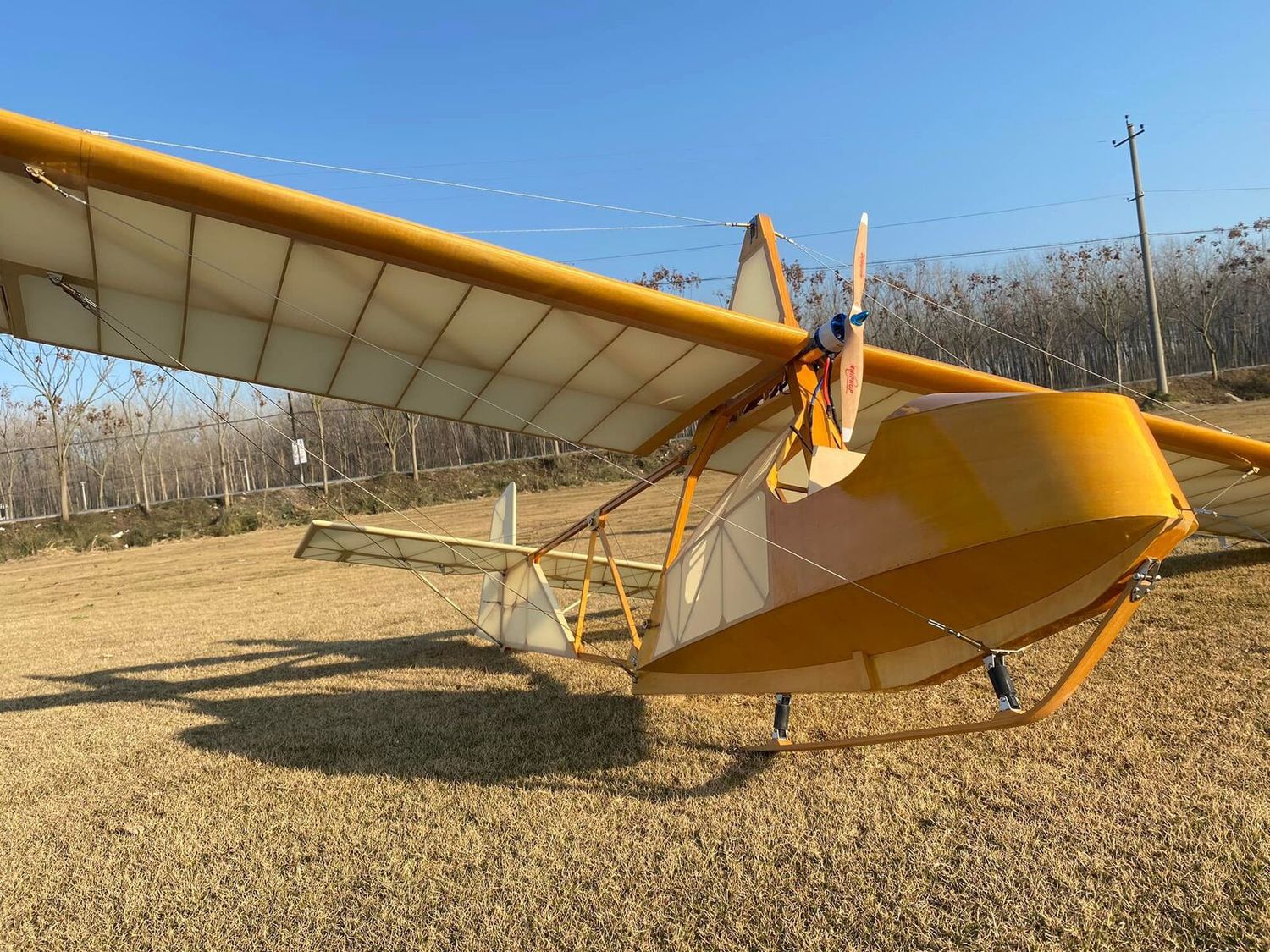 Valueplanes SG38 Schulgleiter Glider Kit 1/3 scale 3.4M