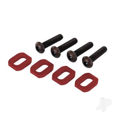Motor Mounting Bolts and Washers (4 pcs)