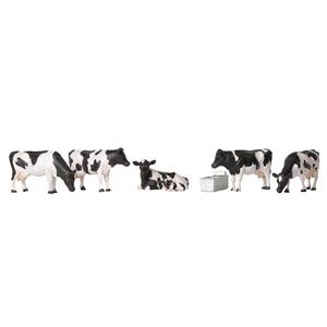 Cows and Calf