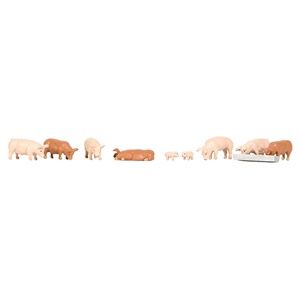 Pigs and Piglets