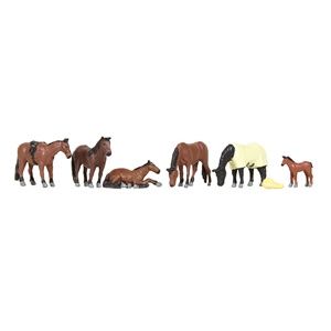 Horses and Foal