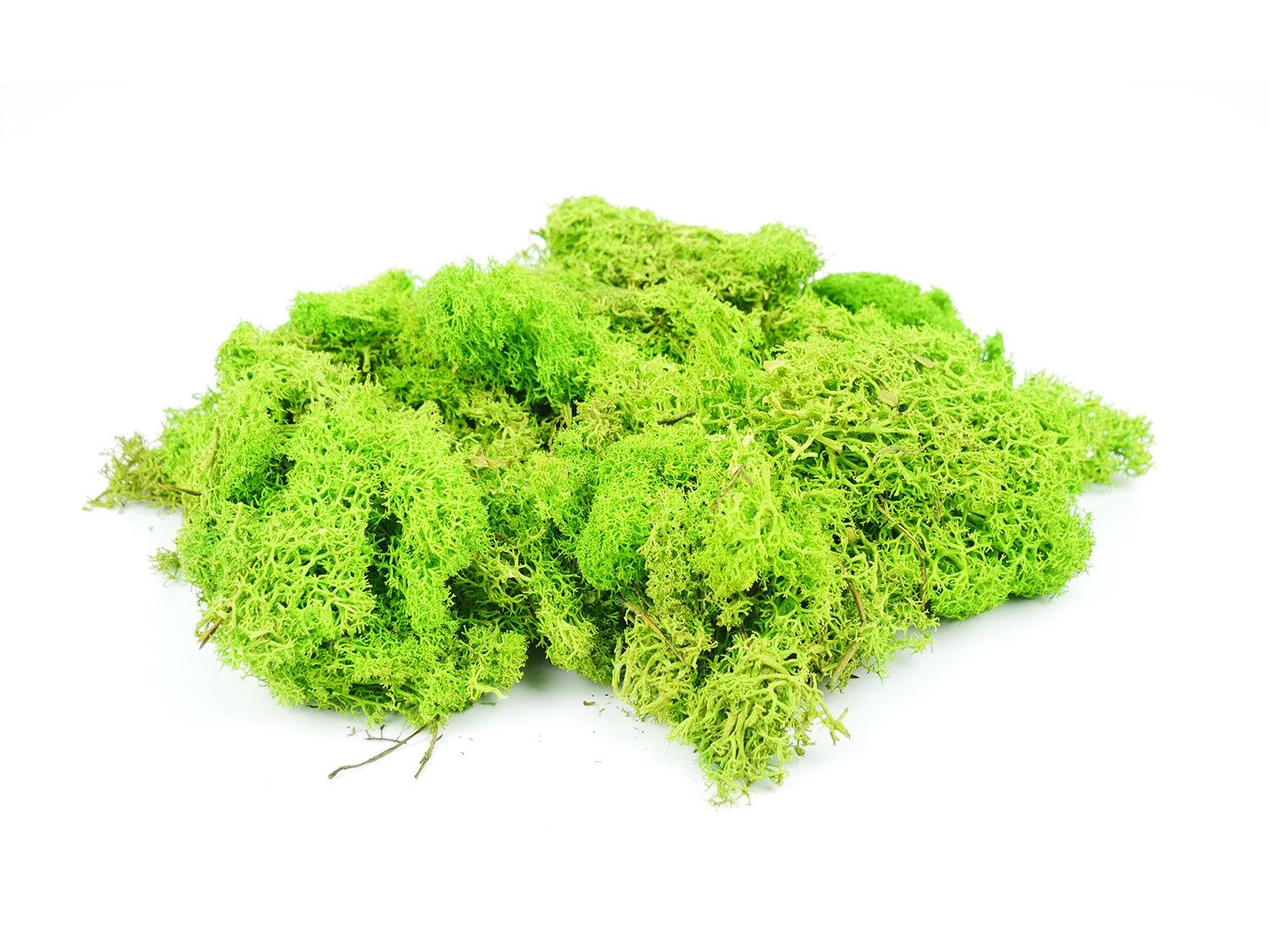 Light Green Lichen 80g