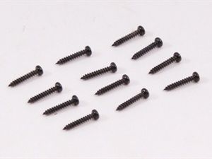 Screw BT2*12