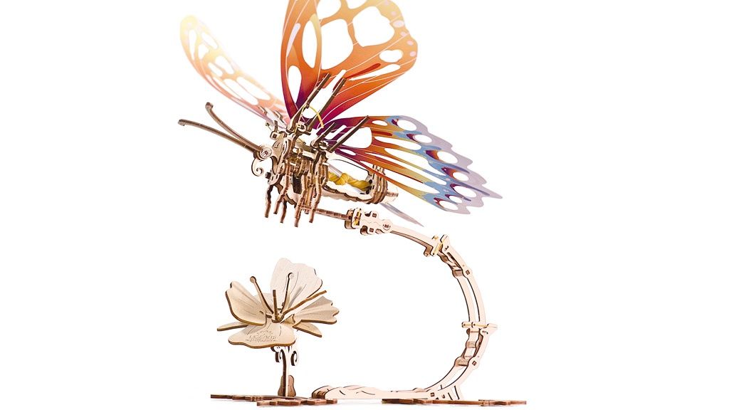 Butterfly