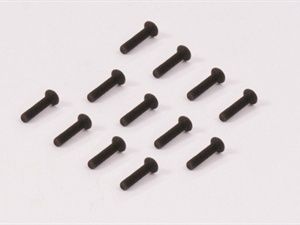 Flat Head Hex Screw 2.5*12 (12pcs)