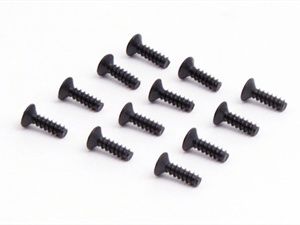 Flat Cross Screw (Tpf3*10)
