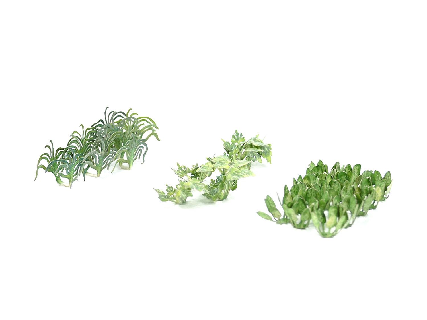Allotment Vegetables (26) Kit