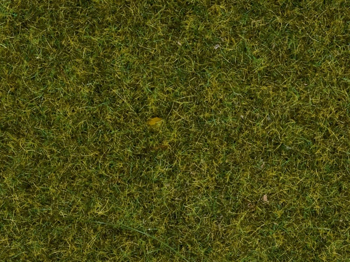 Meadow 2.5mm Static Grass 30g