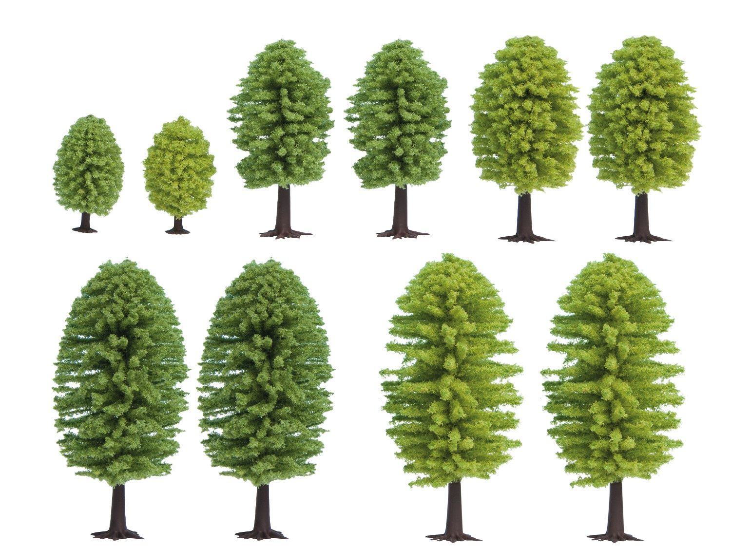 Deciduous Trees (10)