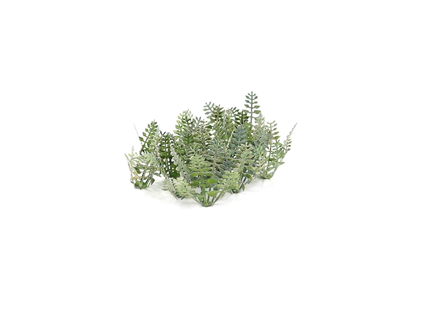 Stinging Nettles (10) Kit