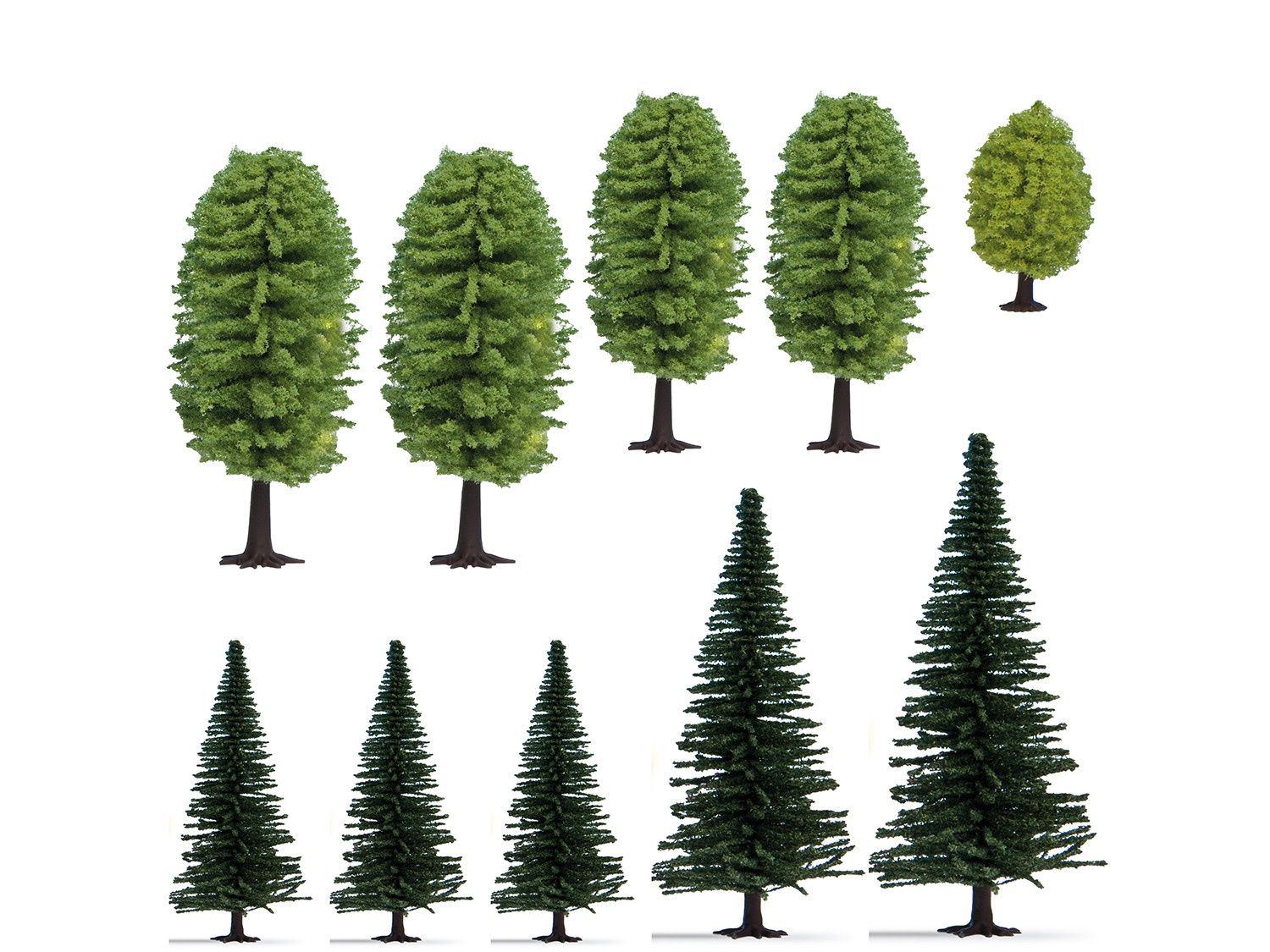 Forest Trees (10)