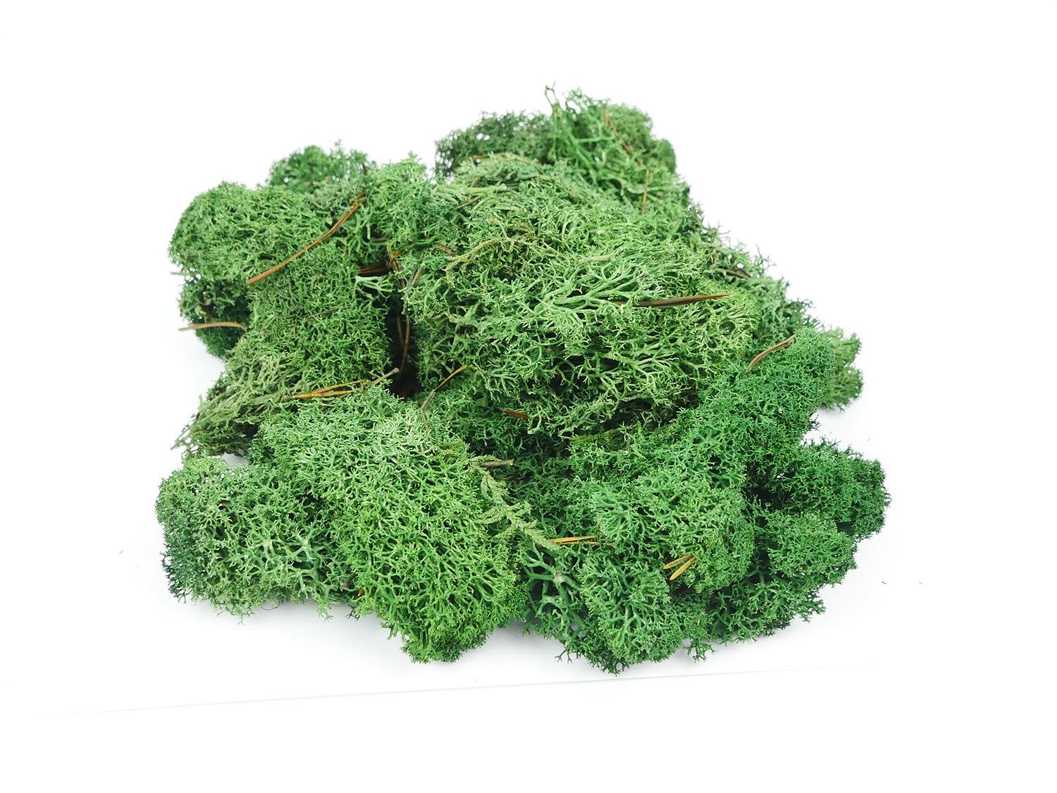 Dark Green Lichen 80g (Was GM165)