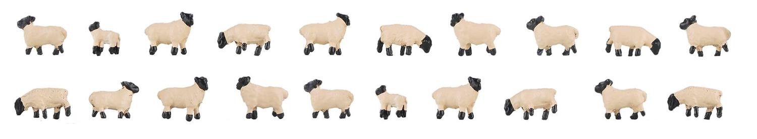 Sheep with Black Heads Figure Set (N)