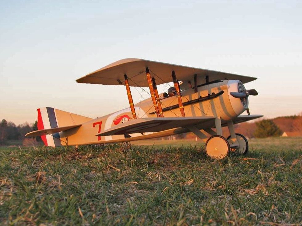 Spad 13 36" Electric Scale