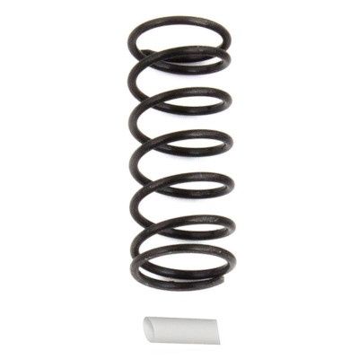 ASSOCIATED RC12R6 SHOCK SPRING WHITE 11.2 lb/in