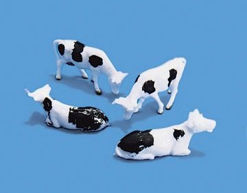 Cows