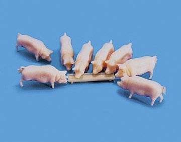 Pigs and Trough