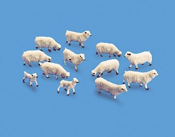 Sheep and Lambs
