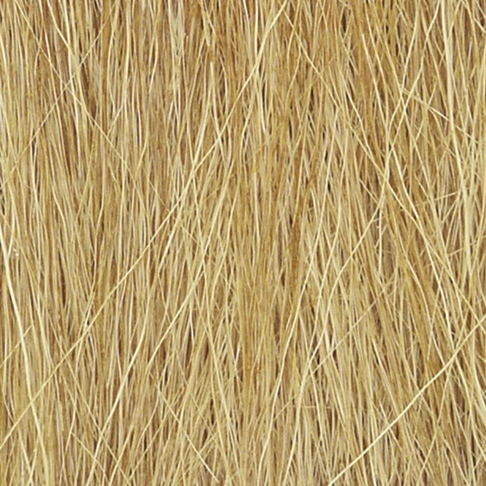 Field Grass Harvest Gold