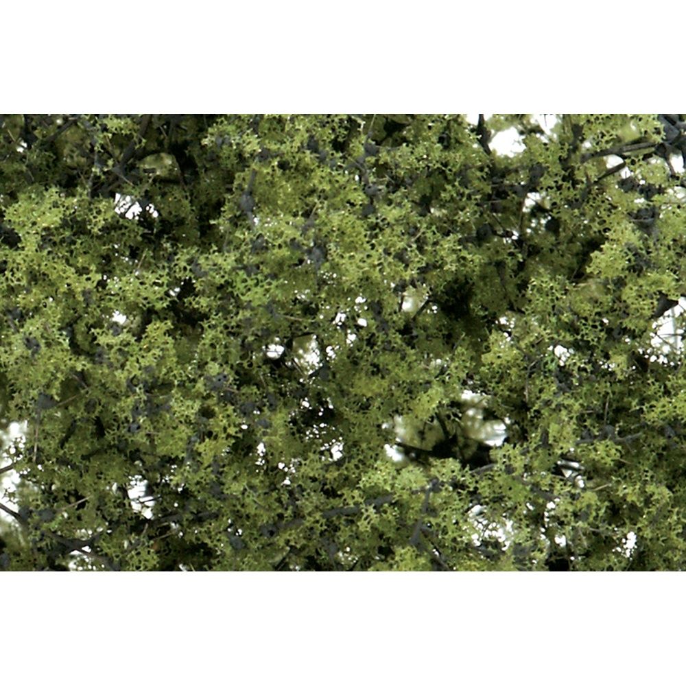 Fine Leaf Foliage Light Green