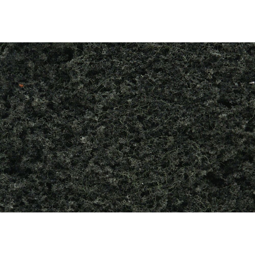 Foliage Conifer Green