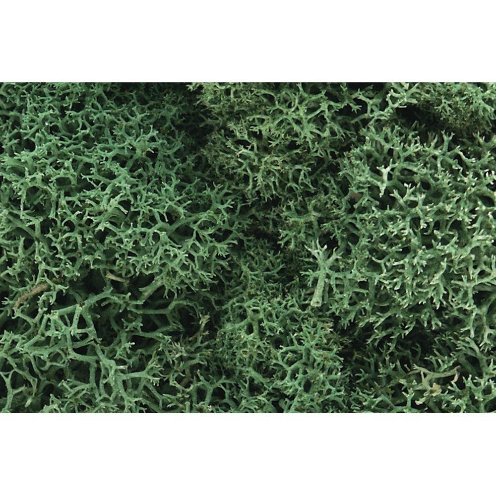 Lichen Light Green Woodland Scenics