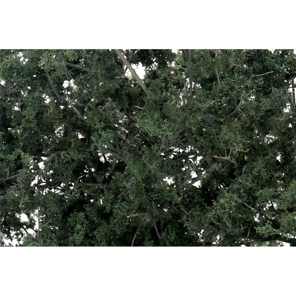 Fine Leaf Foliage Dark Green