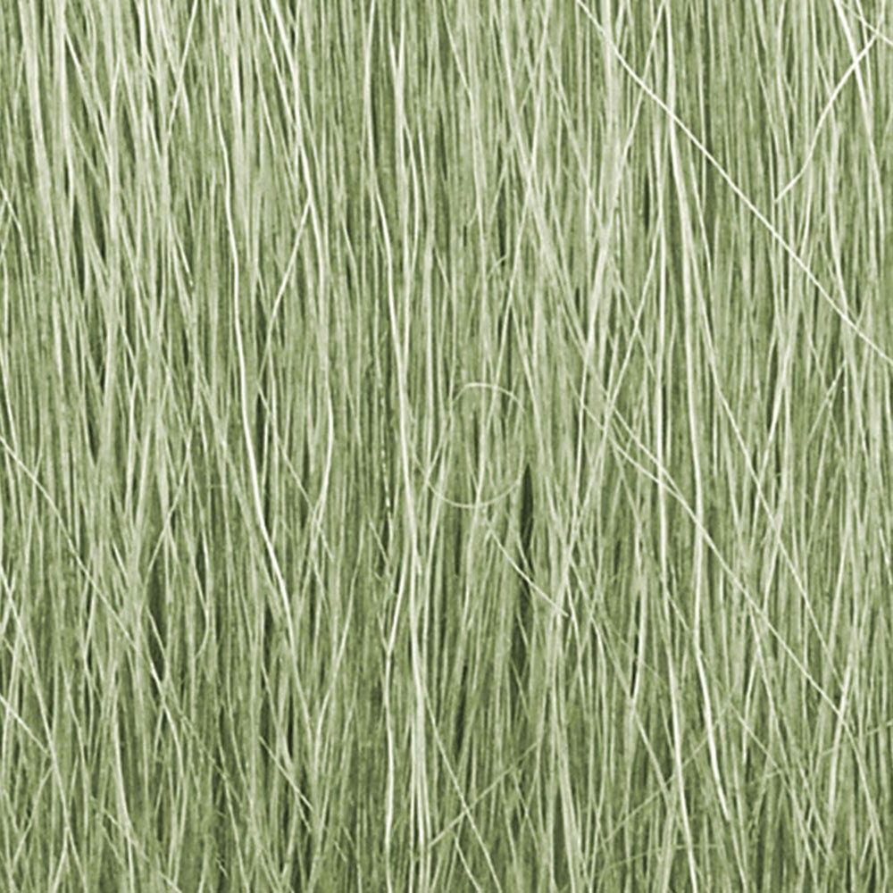 Field Grass Light Green