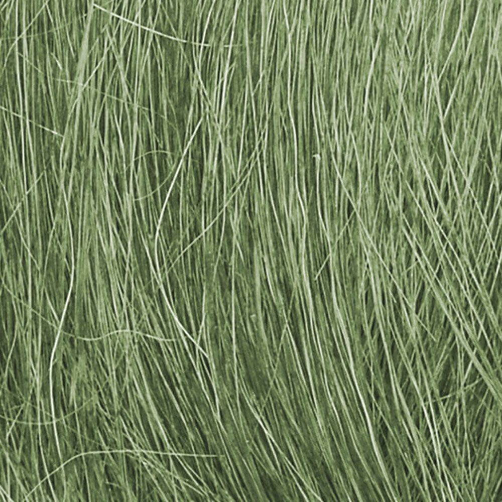 Field Grass Medium Green