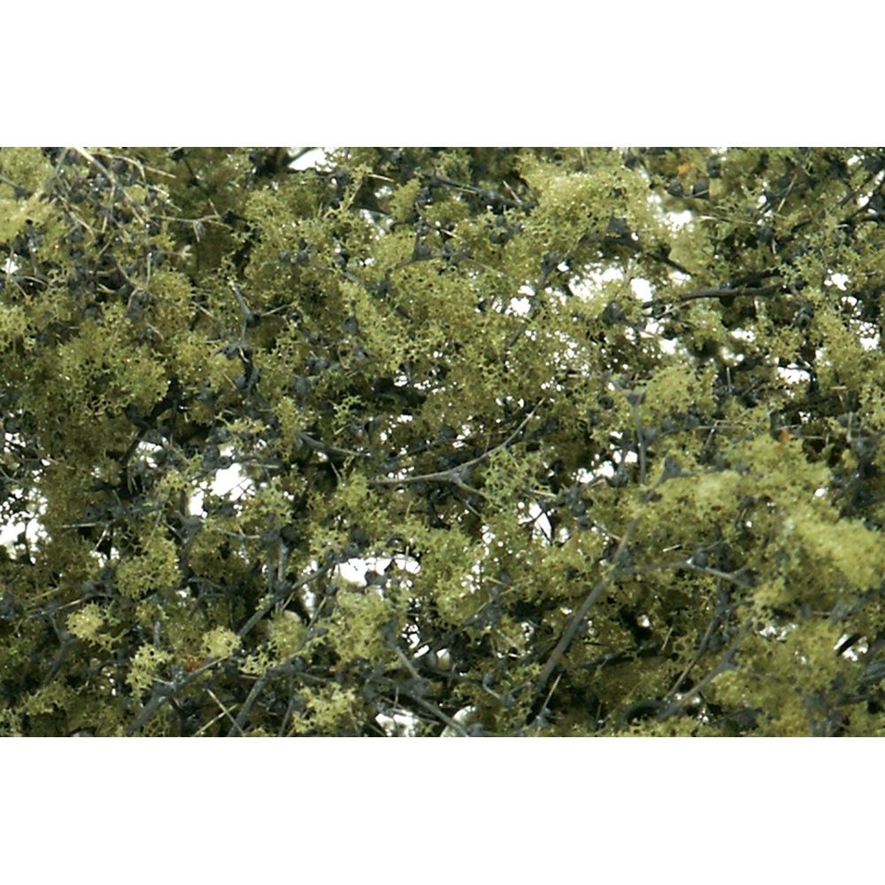 Fine Leaf Foliage Olive Green