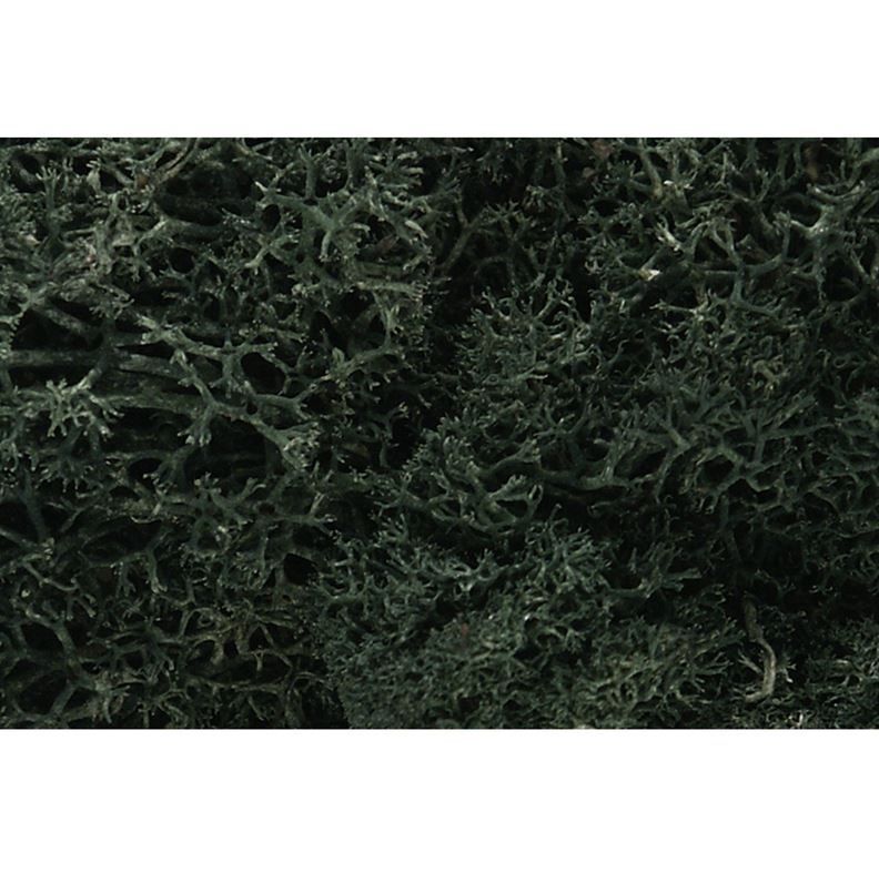 Lichen Dark Green Woodland Scenics